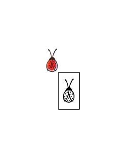Ladybug Tattoo Insects tattoo | JNF-00125