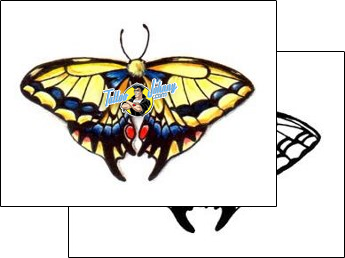 Butterfly Tattoo insects-butterfly-tattoos-jen-carmean-jnf-00137