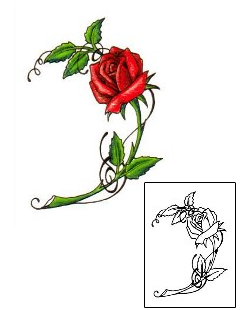 Rose Tattoo Plant Life tattoo | JNF-00149