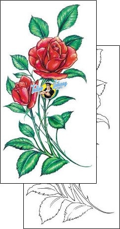 Rose Tattoo plant-life-rose-tattoos-judy-parker-jpf-00001