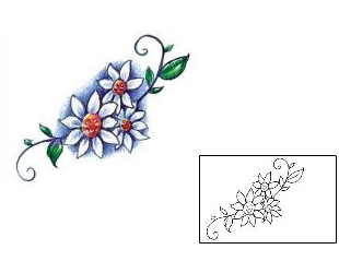 Daisy Tattoo Plant Life tattoo | JPF-00003