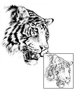 Tiger Tattoo Animal tattoo | JPF-00070