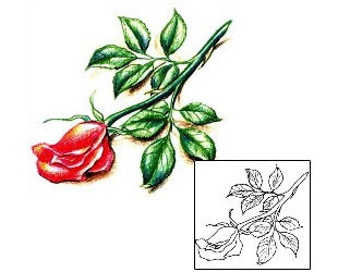 Picture of Plant Life tattoo | JPF-00141