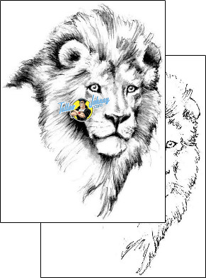Lion Tattoo animal-lion-tattoos-judy-parker-jpf-00247
