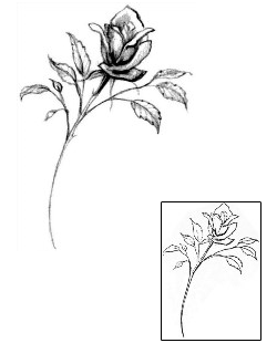 Picture of Plant Life tattoo | JPF-00286