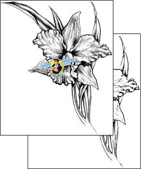 Flower Tattoo plant-life-flowers-tattoos-judy-parker-jpf-00356