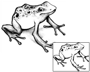 Frog Tattoo Reptiles & Amphibians tattoo | JPF-00379