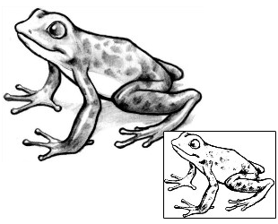 Frog Tattoo Reptiles & Amphibians tattoo | JPF-00380