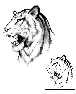 Tiger Tattoo Animal tattoo | JPF-00393