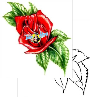 Flower Tattoo plant-life-flowers-tattoos-judy-parker-jpf-00428
