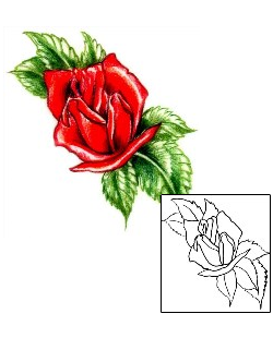 Picture of Plant Life tattoo | JPF-00428