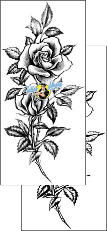 Flower Tattoo plant-life-flowers-tattoos-judy-parker-jpf-00434