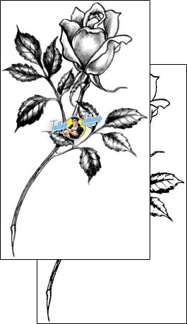 Flower Tattoo plant-life-flowers-tattoos-judy-parker-jpf-00435