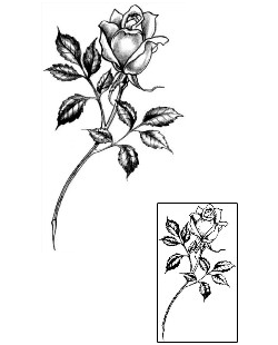 Rose Tattoo Plant Life tattoo | JPF-00435