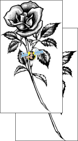 Flower Tattoo plant-life-flowers-tattoos-judy-parker-jpf-00436