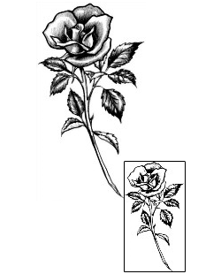 Picture of Plant Life tattoo | JPF-00436