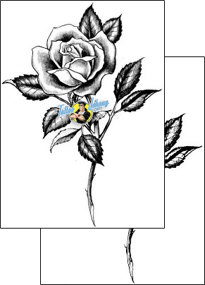 Flower Tattoo plant-life-flowers-tattoos-judy-parker-jpf-00438