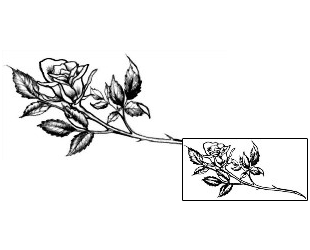 Picture of Plant Life tattoo | JPF-00439