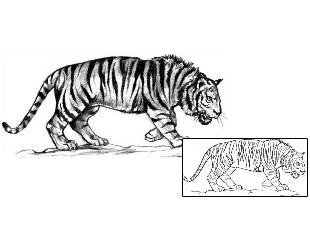 Tiger Tattoo Animal tattoo | JPF-00610
