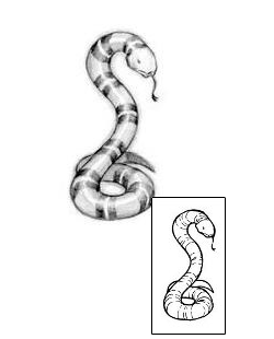 Snake Tattoo Reptiles & Amphibians tattoo | JRF-00014