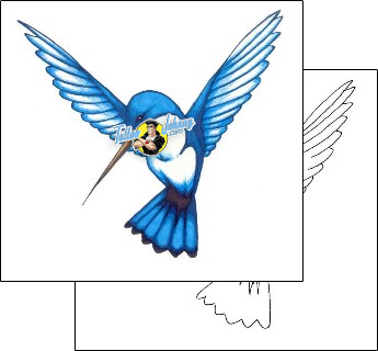 Bird Tattoo animal-bird-tattoos-john-swope-jsf-00214