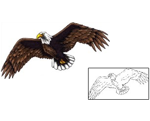 Eagle Tattoo Animal tattoo | JSF-00230