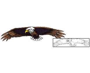 Eagle Tattoo Animal tattoo | JSF-00233