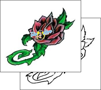 Rose Tattoo plant-life-rose-tattoos-kelly-gormley-kgf-00038