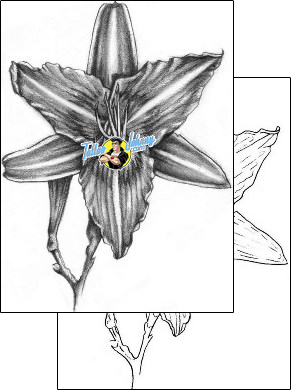 Flower Tattoo plant-life-flowers-tattoos-karin-ackerman-kkf-00016