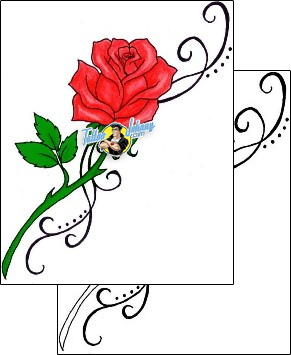 Rose Tattoo plant-life-rose-tattoos-kim-walsh-kwf-00041
