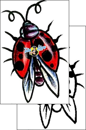 Ladybug Tattoo insects-ladybug-tattoos-mike-the-freak-mff-00040