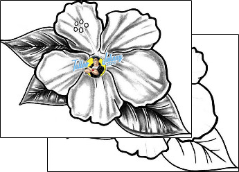 Hibiscus Tattoo plant-life-hibiscus-tattoos-mike-greer-mrf-00148