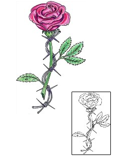 Barbed Wire Tattoo Plant Life tattoo | MWF-00014