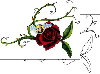 Rose Tattoo plant-life-rose-tattoos-mr-pork-mwf-00077