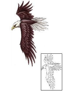 Eagle Tattoo For Women tattoo | N2F-00009