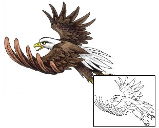 Eagle Tattoo Animal tattoo | N2F-00141