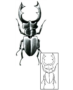 Beetle Tattoo Insects tattoo | PKF-00004