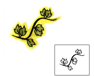 Picture of PLF-00416