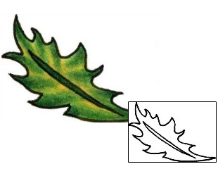 Picture of PLF-00952