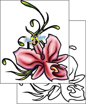 Orchid Tattoo plf-02039