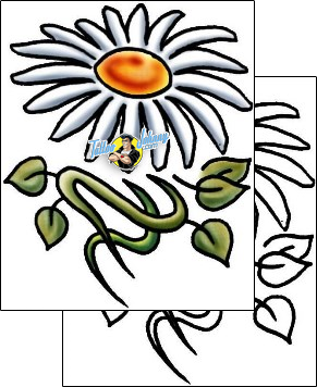 Daisy Tattoo plant-life-daisy-tattoos-pablo-lordi-plf-02127