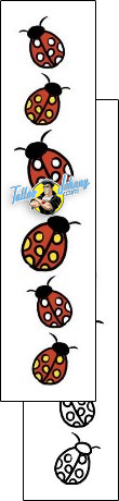 Ladybug Tattoo insects-ladybug-tattoos-pablo-paola-ppf-00205