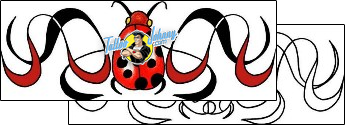 Ladybug Tattoo insects-ladybug-tattoos-pablo-paola-ppf-00213