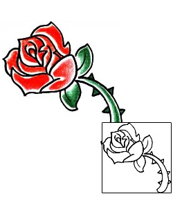 Rose Tattoo Plant Life tattoo | PPF-00842