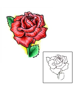 Picture of Plant Life tattoo | PVF-00121