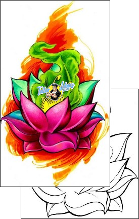Lotus Tattoo plant-life-lotus-tattoos-squid-qdf-00021