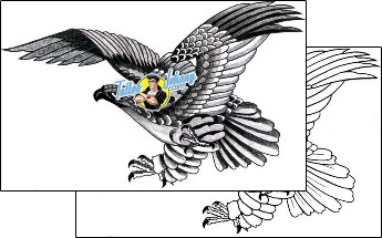 Bird Tattoo animal-bird-tattoos-rich-chesler-rcf-00059
