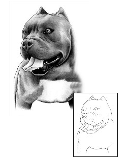Picture of Ace Pit Bull Tattoo