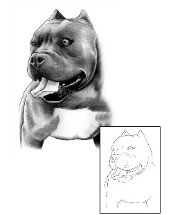 Pit Bull Tattoo Ace Pit Bull Tattoo