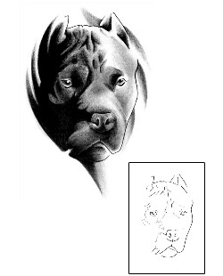 Picture of Poncho Pit Bull Tattoo